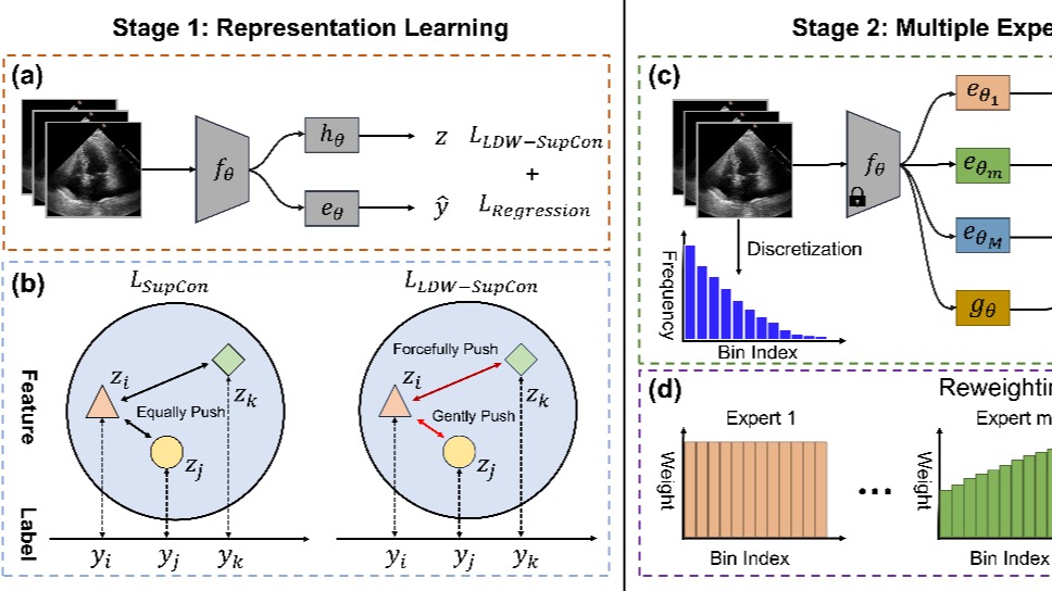 CAIR多项医学人工智能成果将在MICCAI 2024大会发布